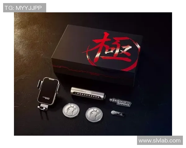 IG战队的拼搏历程与荣耀之路精英赛特别报道